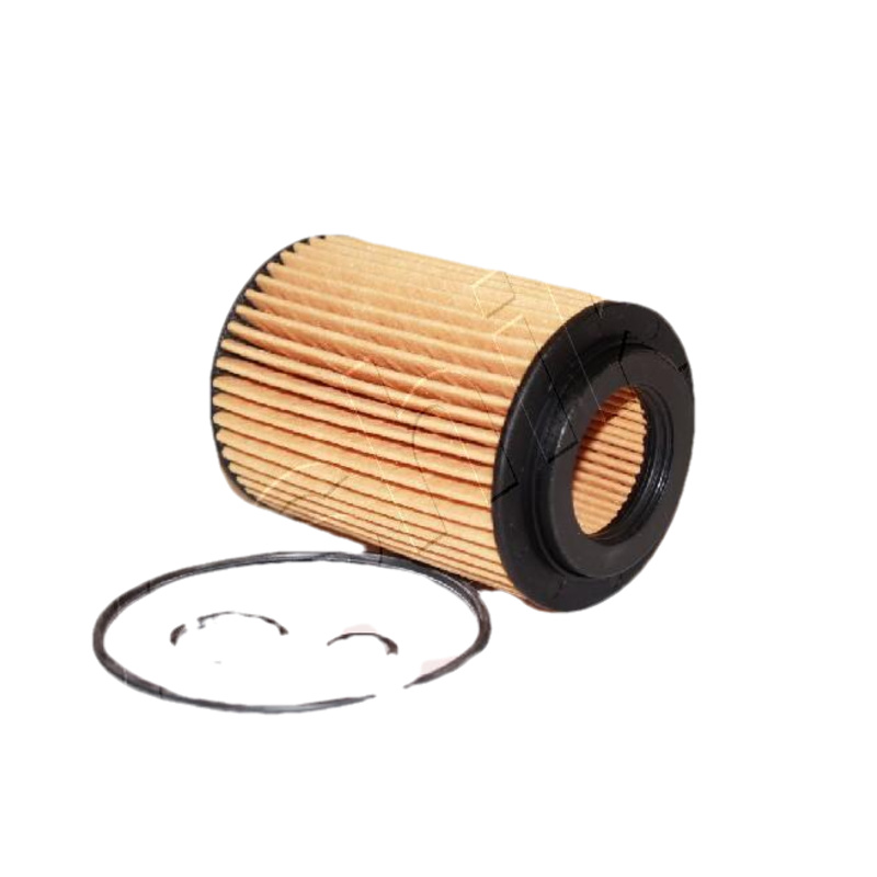 ASHIKA Olejový filter 10ECO055