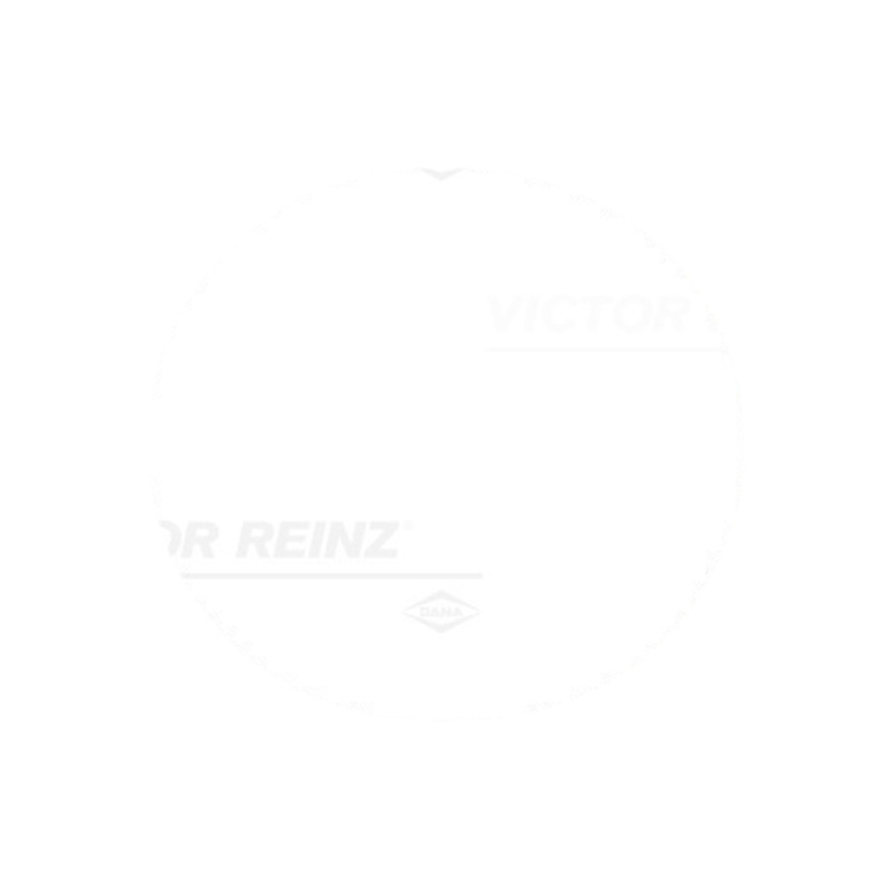 VICTOR REINZ Tesnenie turbodúchadla 714213300