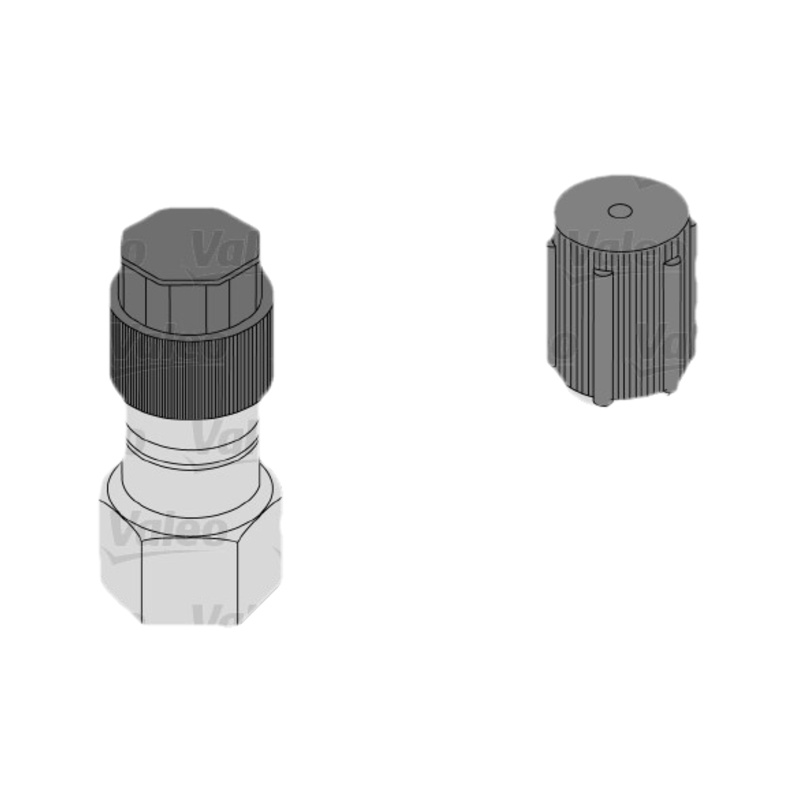 VALEO Tesnenie trubiek chladenia 509389