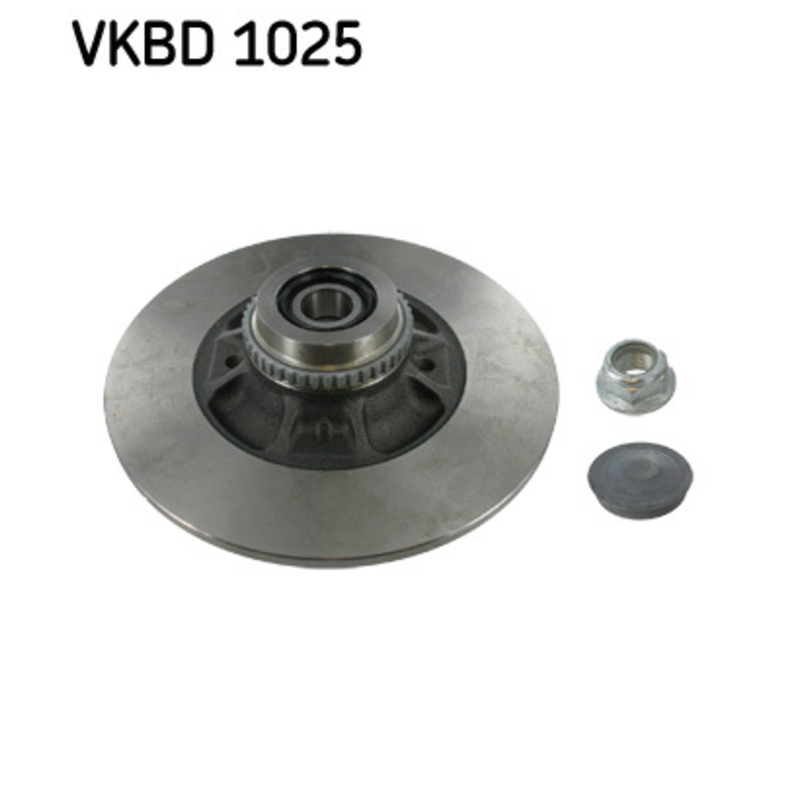 SKF Brzdový kotúč VKBD1025