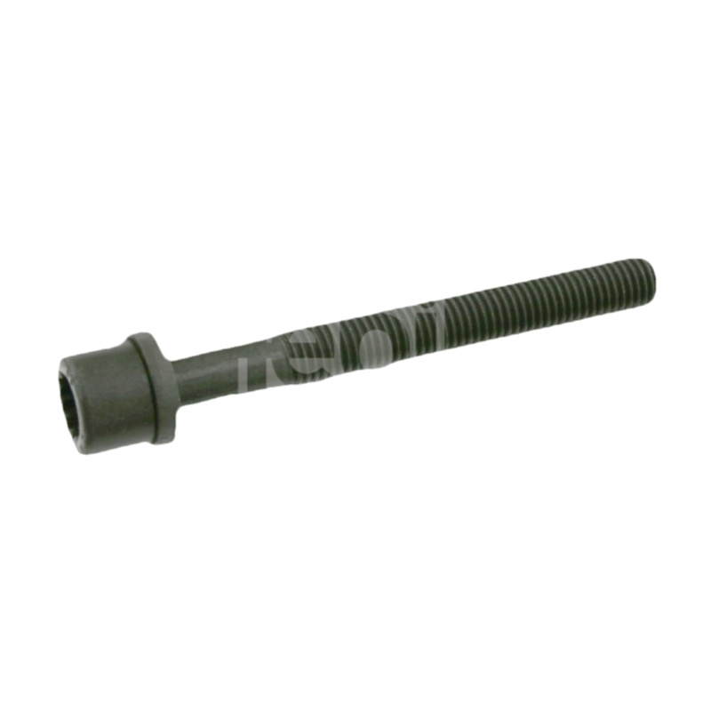 FEBI BILSTEIN Skrutka hlavy valcov 06666