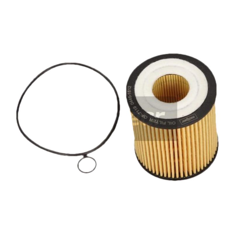 MAXGEAR Olejový filter 260893