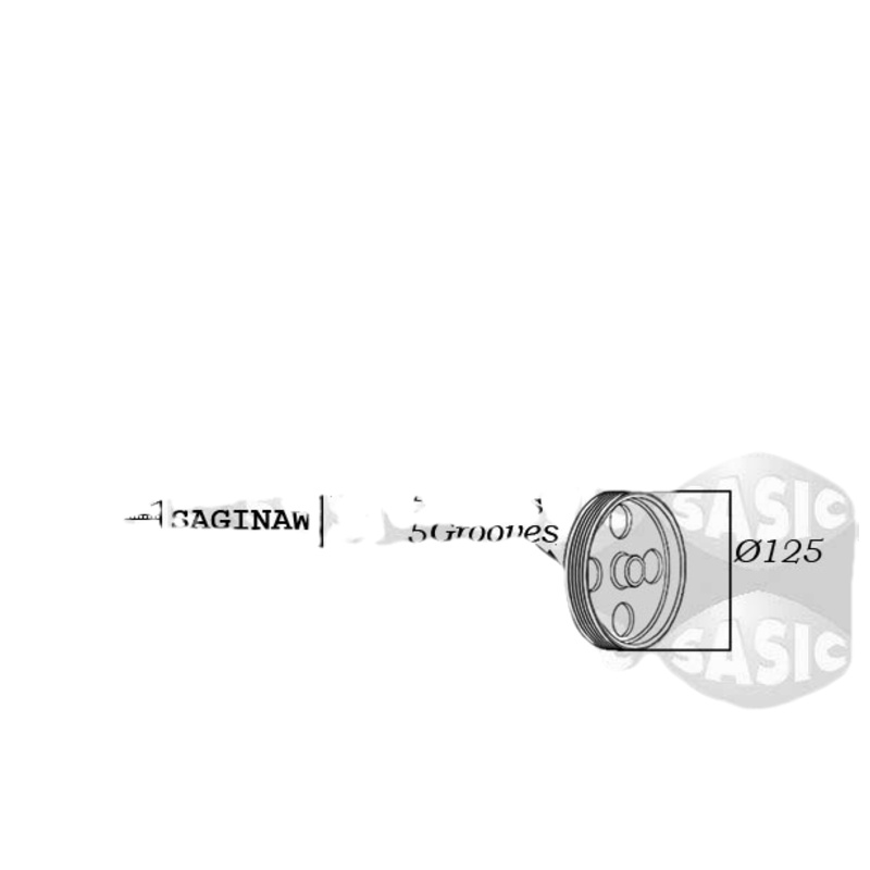 SASIC Hydraulické čerpadlo pre riadenie 7074002