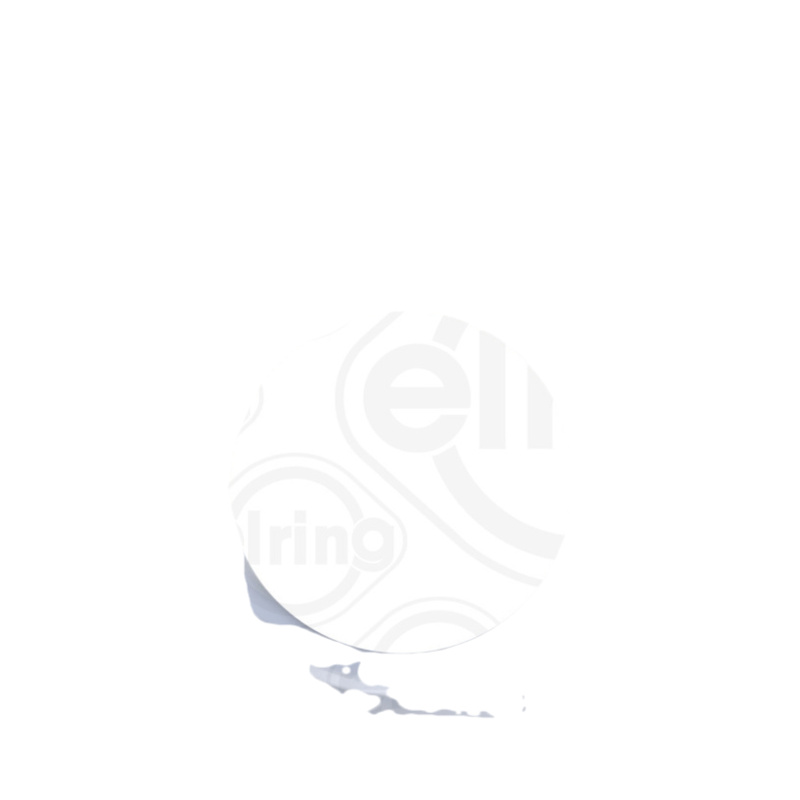 E-shop ELRING Tesnenie výfukovej trubky 531340