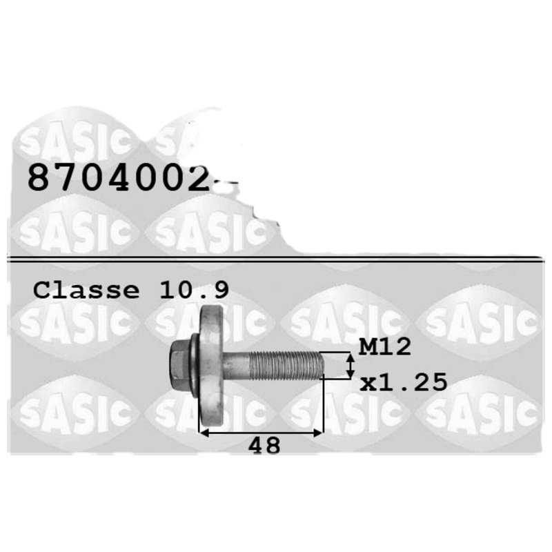 SASIC Skrutka remenice 8704002