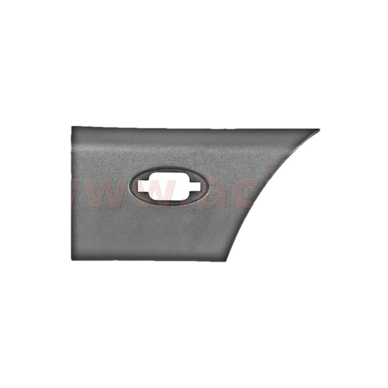 Boční lišta zd. převisu ORIGINAL 4388426Q