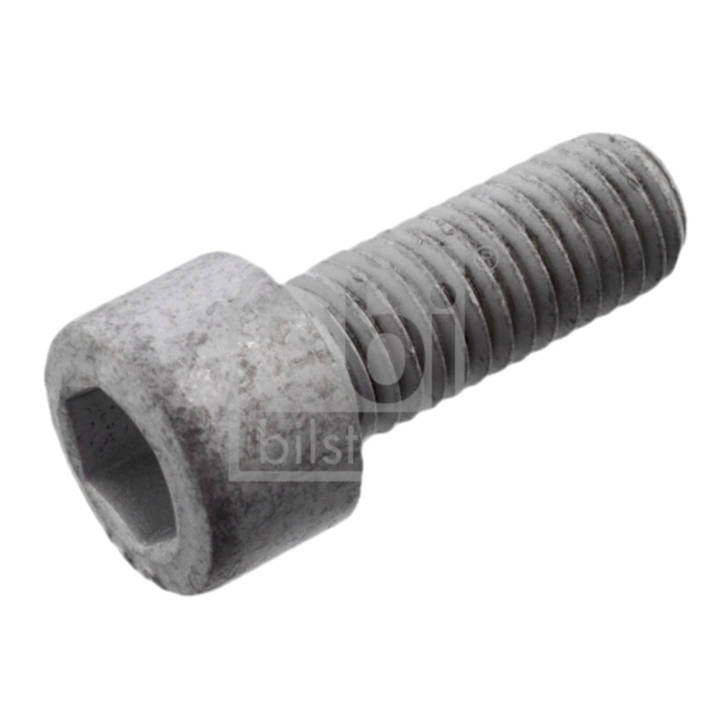 FEBI BILSTEIN Skrutka hnacej hriadele 101235