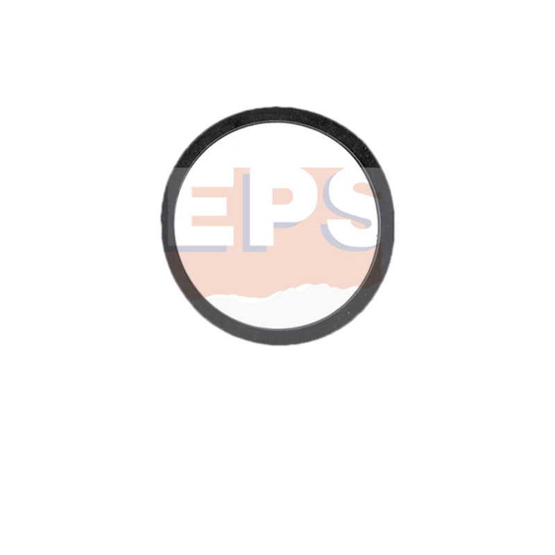 EPS Tesnenie termostatu 1.890.517
