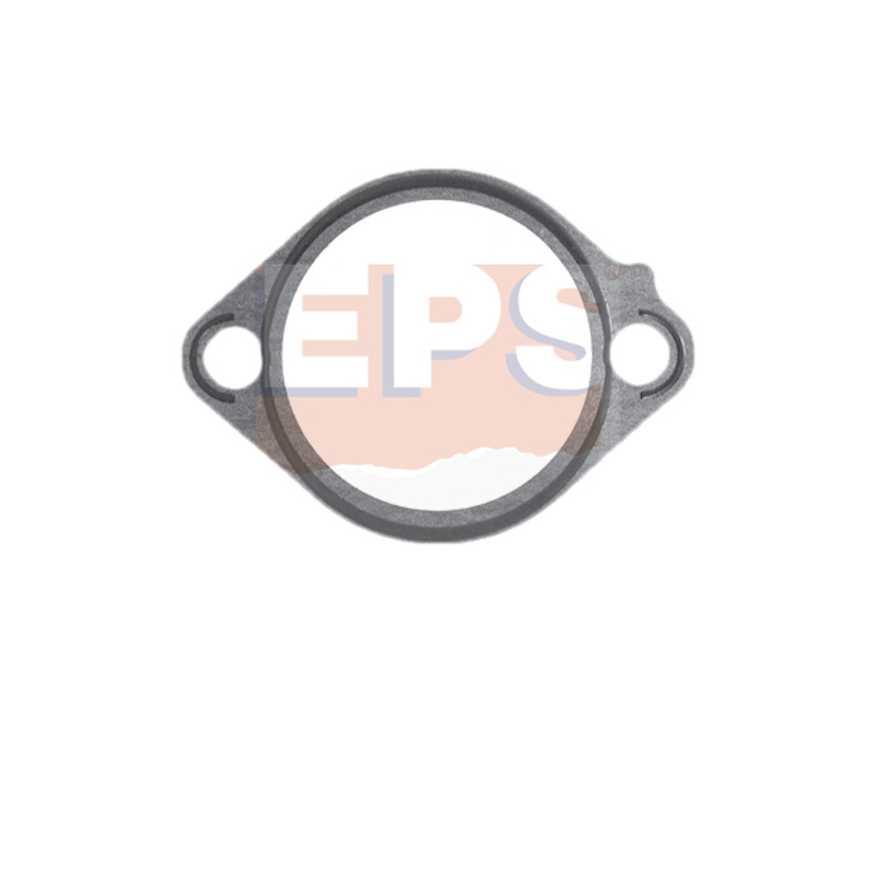 EPS Tesnenie termostatu 1.890.514
