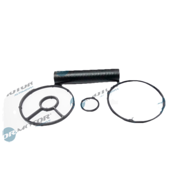DR.MOTOR AUTOMOTIVE Tesnenie chladiča oleja DRM0571