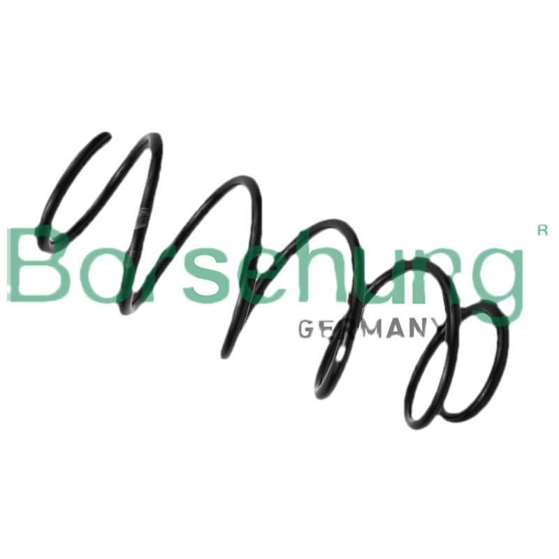 BORSEHUNG Pružina podvozku B12559