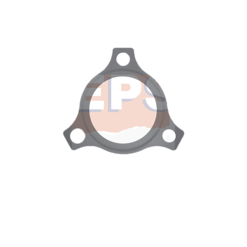 EPS Tesnenie termostatu 1.890.580