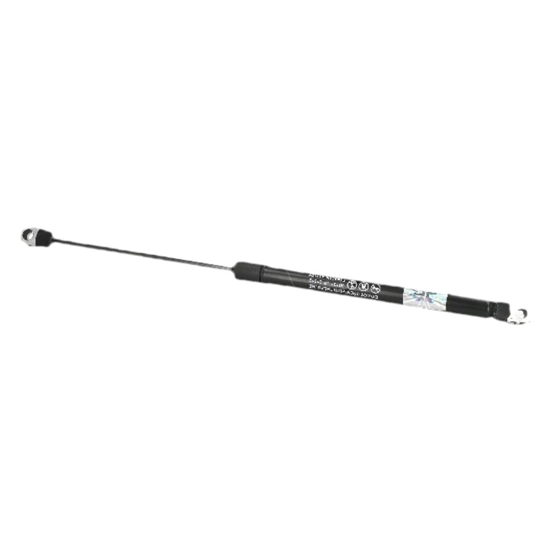 ASHIKA Pneumatická pružina, Batožinový/nákladný priestor ZSA01012