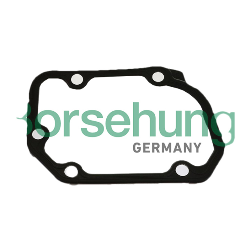 E-shop BORSEHUNG Tesnenie skrine mechanickej prevodovky B17831