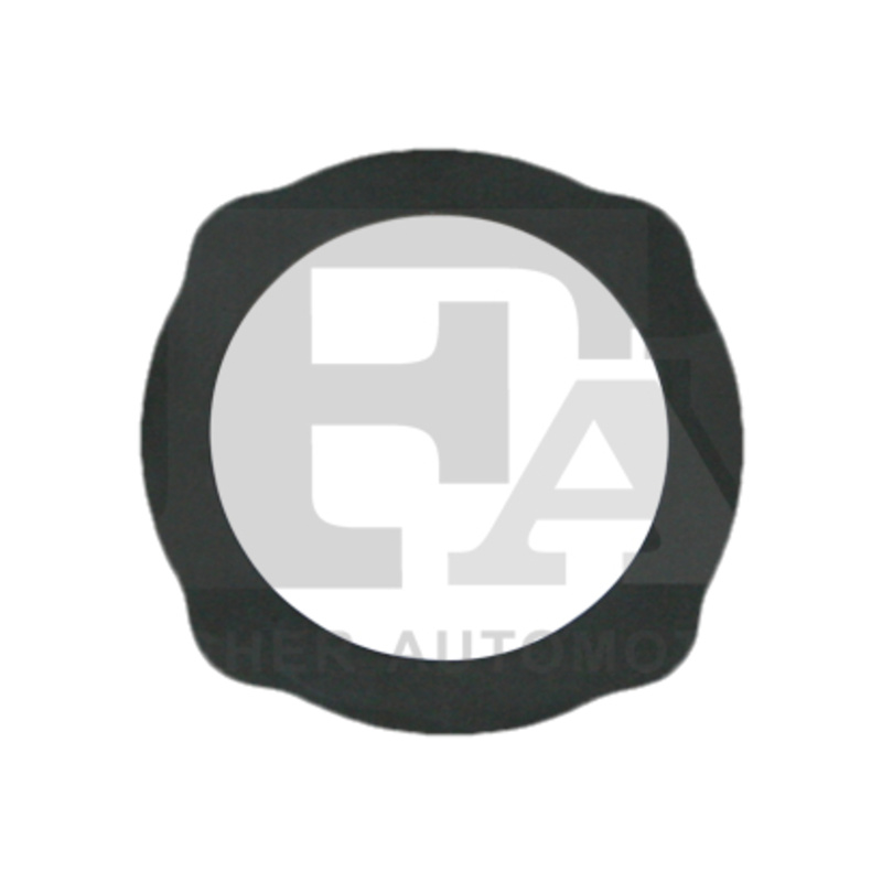 FA1 Tesnenie, Vedenie AGR-ventilu 455520