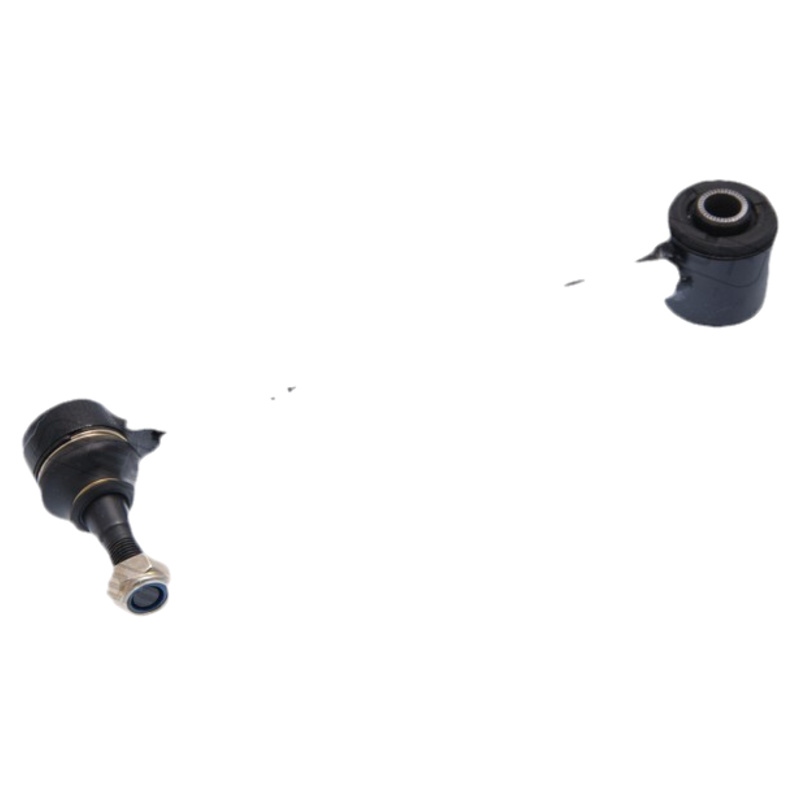FEBEST Rameno zavesenia kolies 0125-110R