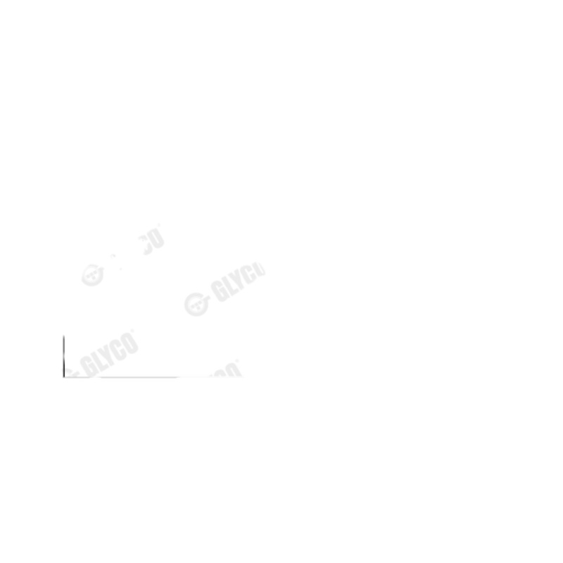 GLYCO Ojničné ložisko 0149774STD