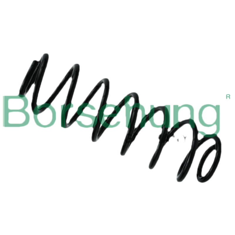 BORSEHUNG Pružina podvozku B12622