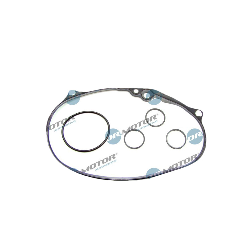DR.MOTOR AUTOMOTIVE Tesnenie veka rozvodov DRM01674S
