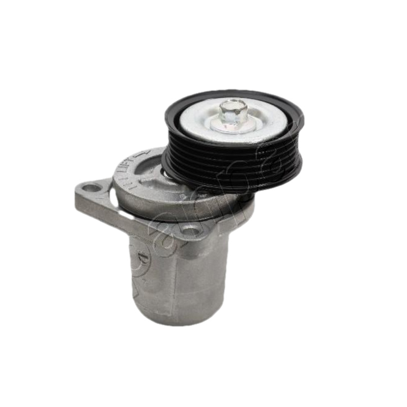 JAPANPARTS Napínacie rameno rebrovaného klinového remeňa TS308