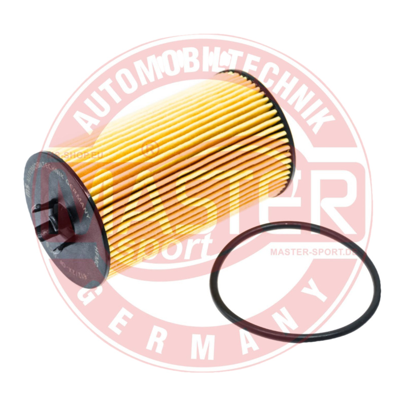 MASTER-SPORT Olejový filter 612/2X-OF-PCS-MS
