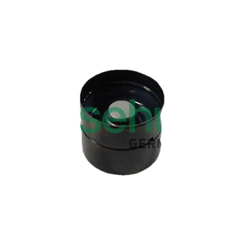 BORSEHUNG Zdvihátko ventilu B16920