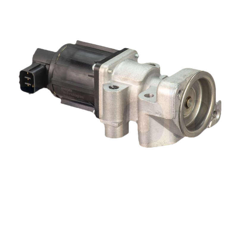 DELPHI AGR - Ventil EG10524-12B1