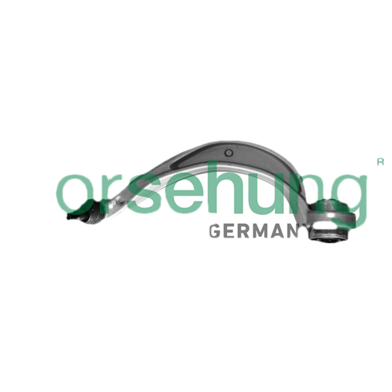 BORSEHUNG Rameno zavesenia kolies B10841