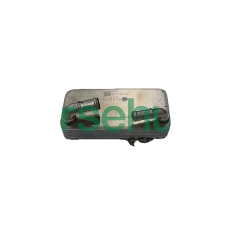 BORSEHUNG Chladič oleja automatickej prevodovky B10882