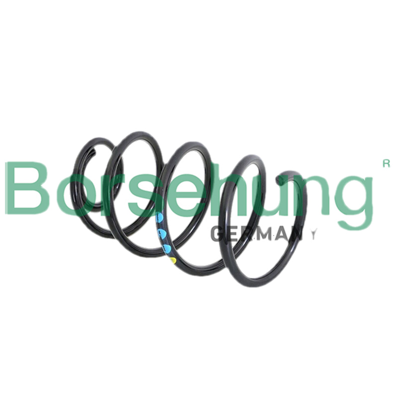 BORSEHUNG Pružina podvozku B11089