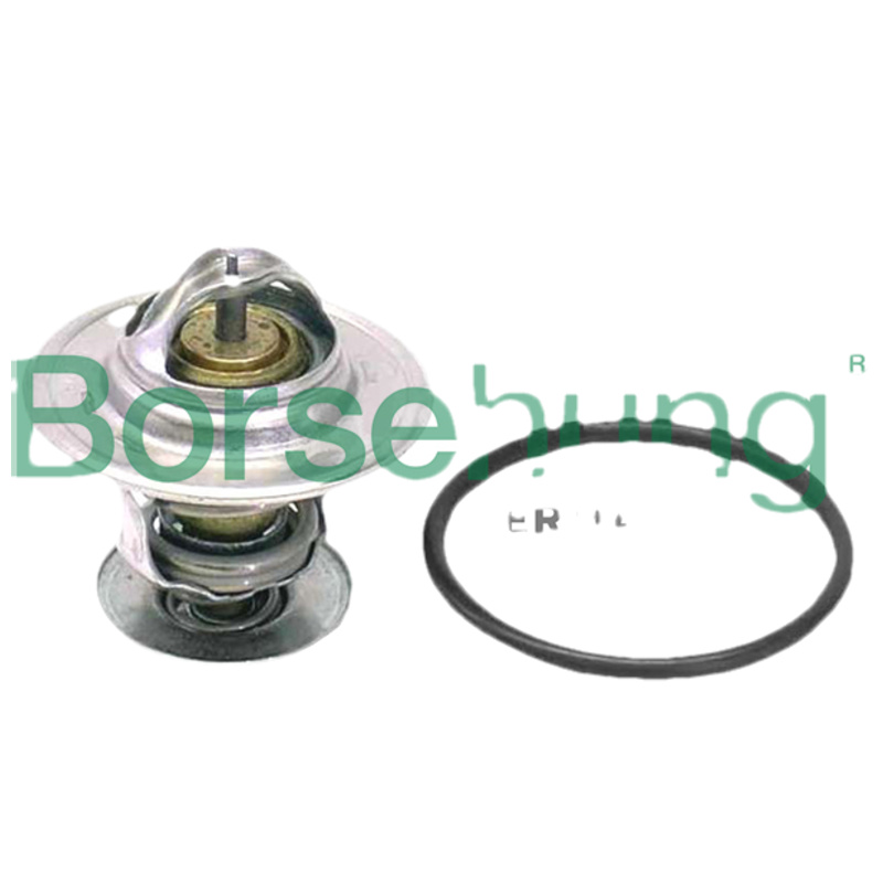 BORSEHUNG Termostat chladenia B18262
