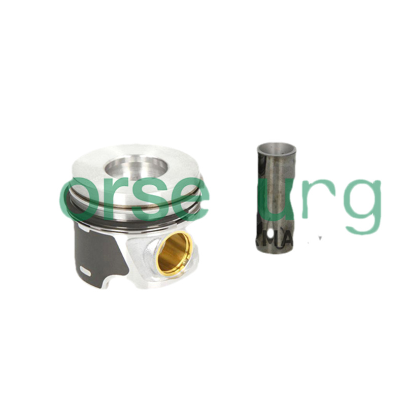 BORSEHUNG Piest B19300