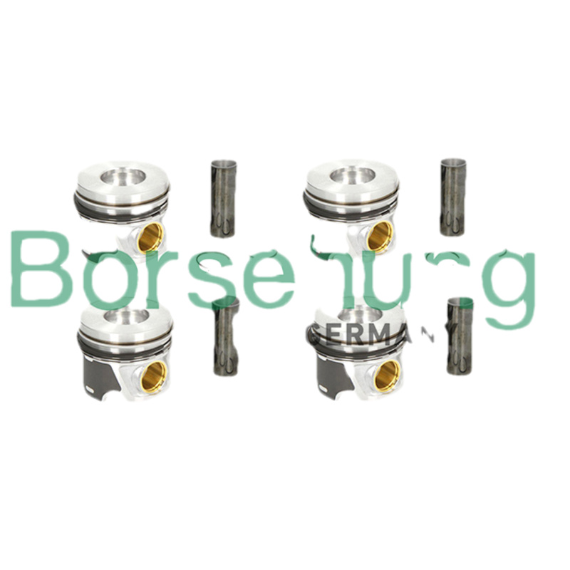 BORSEHUNG Piest B19303
