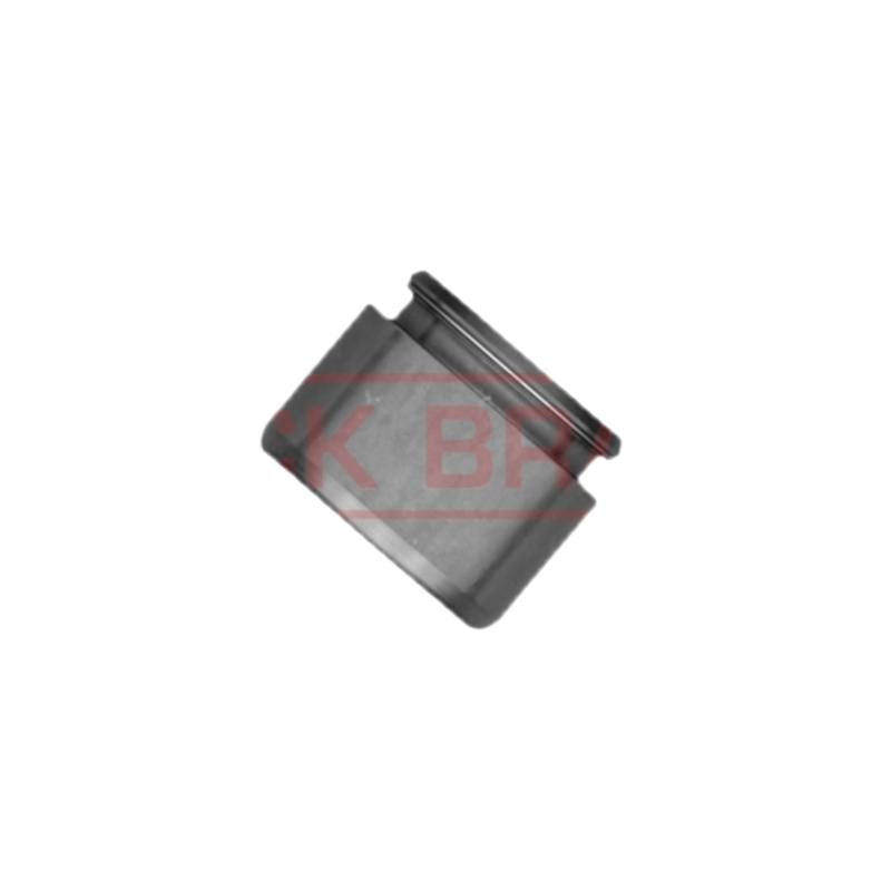 QUICK BRAKE Piest brzdového strmeňa 185308K