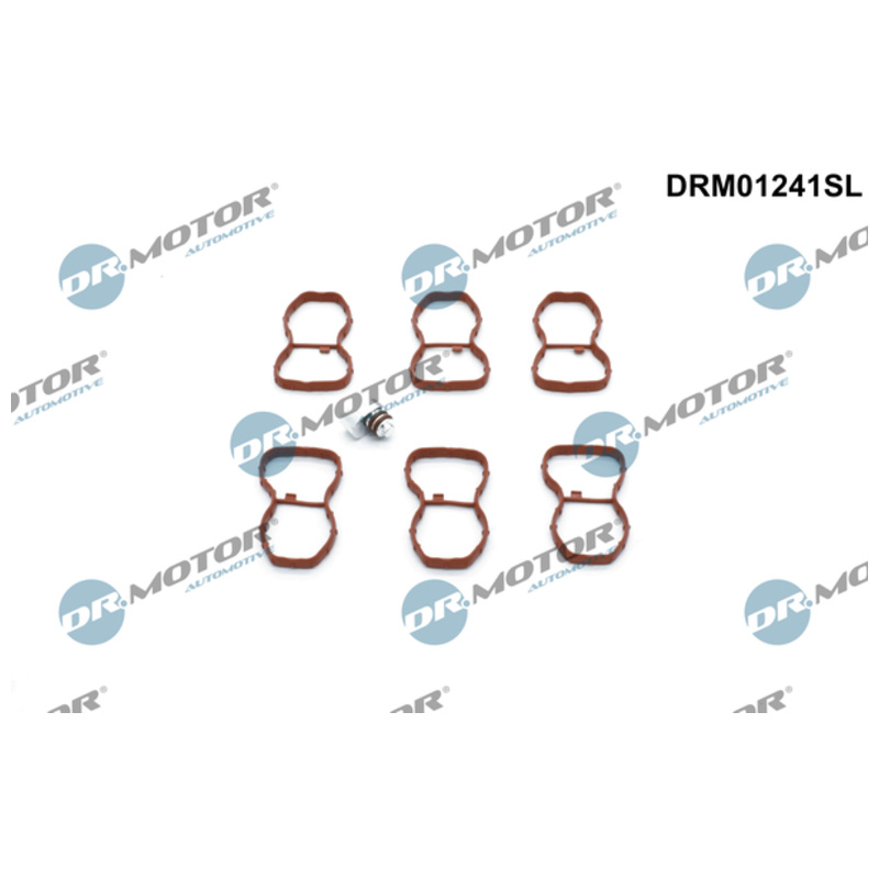 DR.MOTOR AUTOMOTIVE Súprava na opravu, modul sacej rúry DRM01241SL