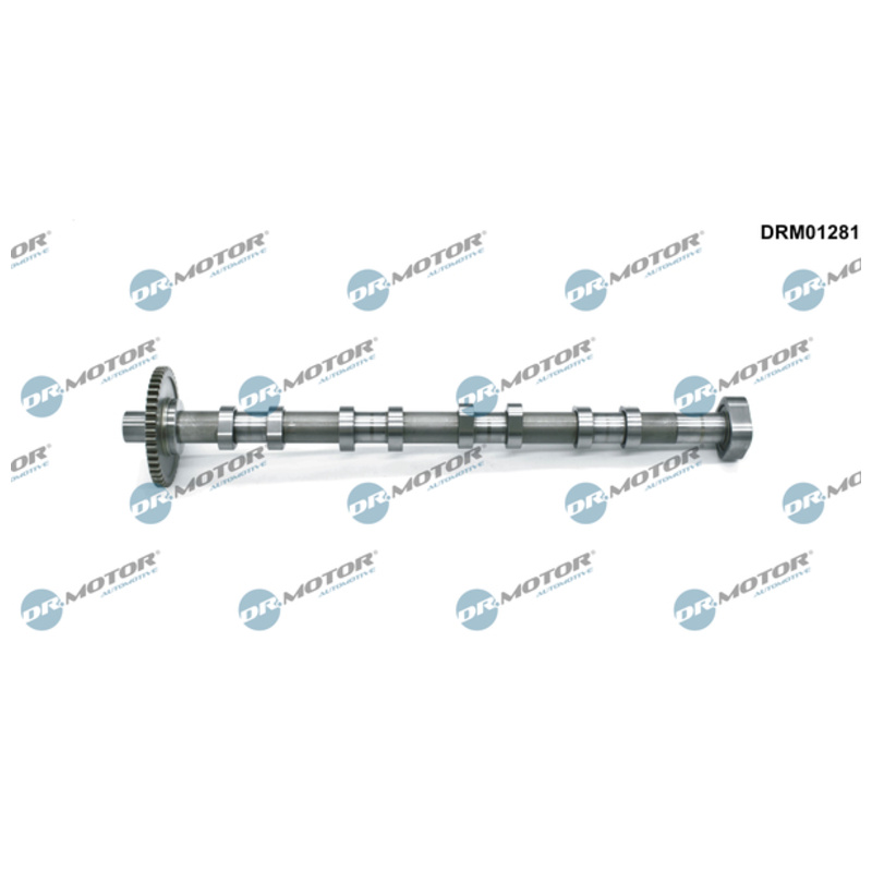 DR.MOTOR AUTOMOTIVE Vačkový hriadeľ DRM01281
