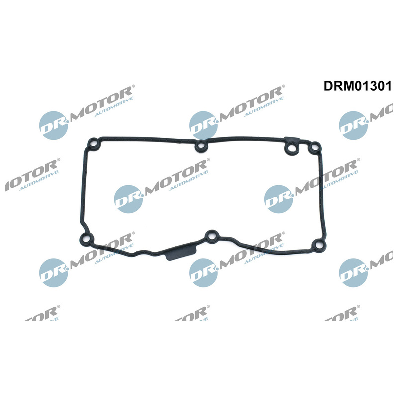 DR.MOTOR AUTOMOTIVE Tesnenie veka hlavy valcov DRM01301
