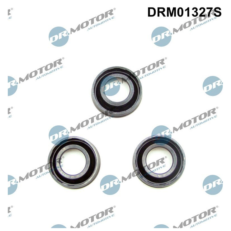 DR.MOTOR AUTOMOTIVE Tesnenie držiaka vstrekovacej trysky DRM01327S
