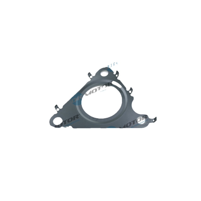 DR.MOTOR AUTOMOTIVE Tesnenie, AGR-Ventil DRM01329