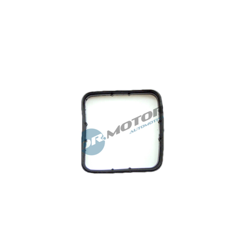 DR.MOTOR AUTOMOTIVE Tesnenie, Trubka chladenia DRM01456