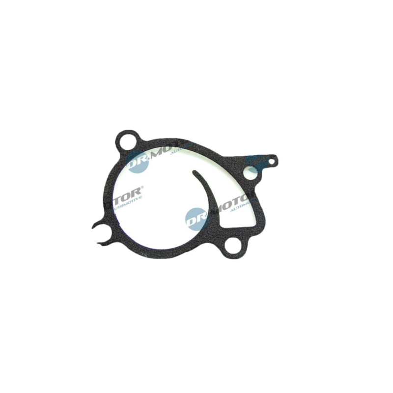 DR.MOTOR AUTOMOTIVE Tesnenie vodného čerpadla DRM01688