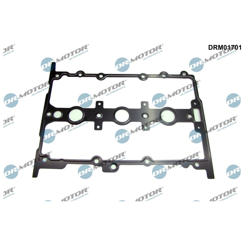 DR.MOTOR AUTOMOTIVE Tesnenie veka hlavy valcov DRM01701