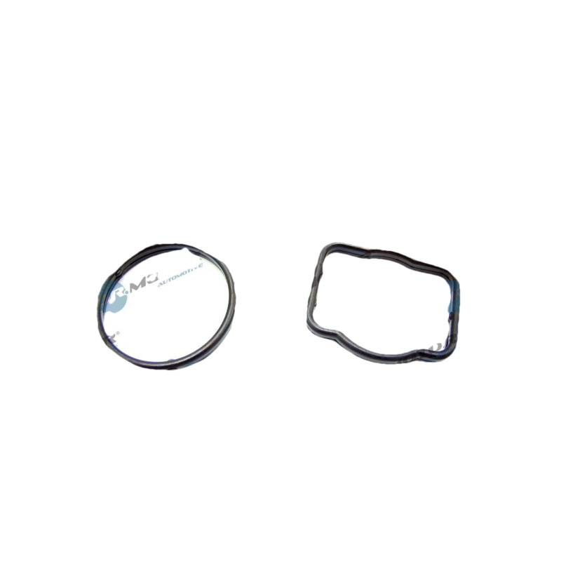 DR.MOTOR AUTOMOTIVE Tesnenie obalu termostatu DRM01703
