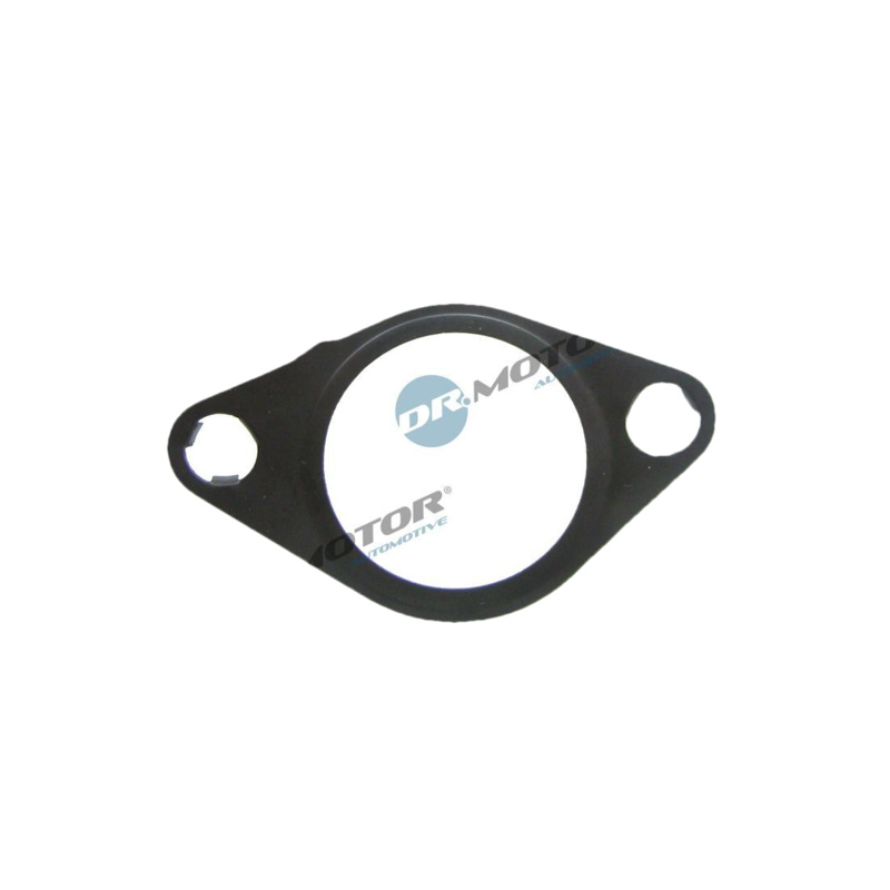 DR.MOTOR AUTOMOTIVE Tesnenie, AGR-Ventil DRM01706