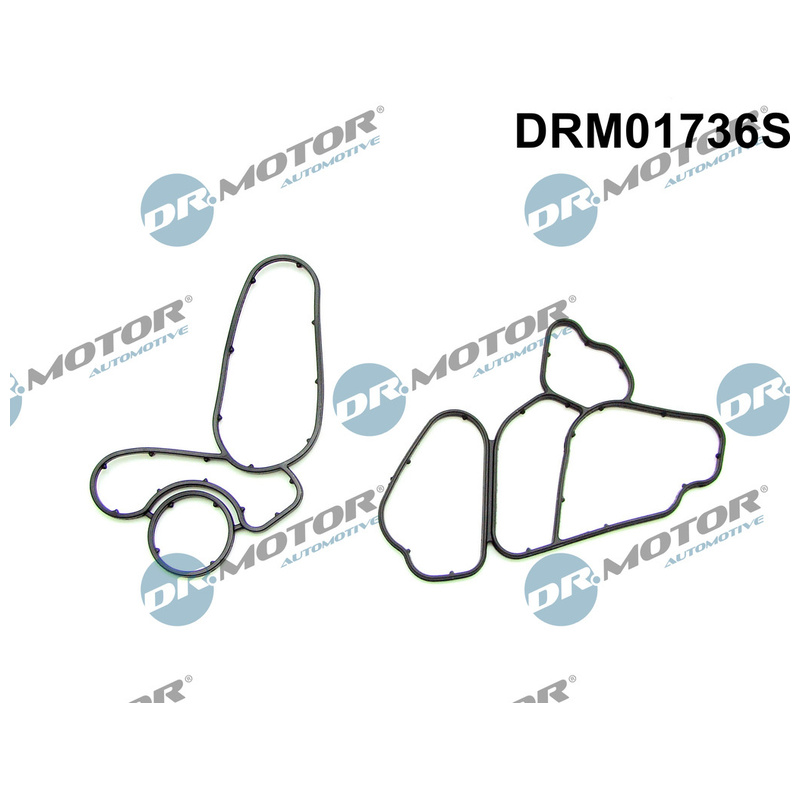 DR.MOTOR AUTOMOTIVE Sada tesnení chladiča oleja DRM01736S
