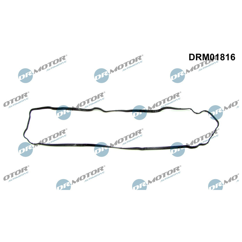 DR.MOTOR AUTOMOTIVE Tesnenie veka hlavy valcov DRM01816
