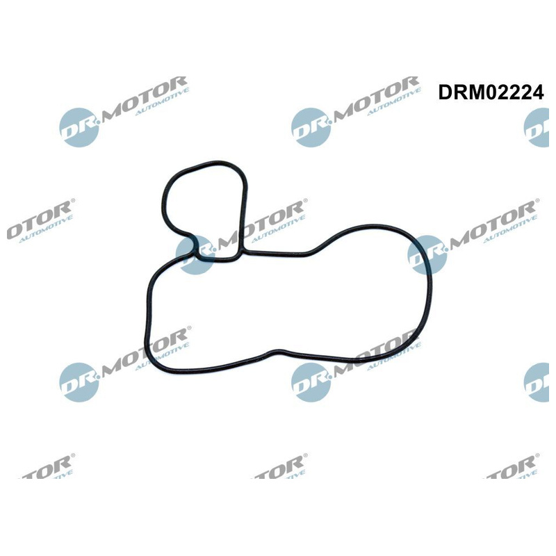 DR.MOTOR AUTOMOTIVE Tesnenie, olejové čerpadlo DRM02224