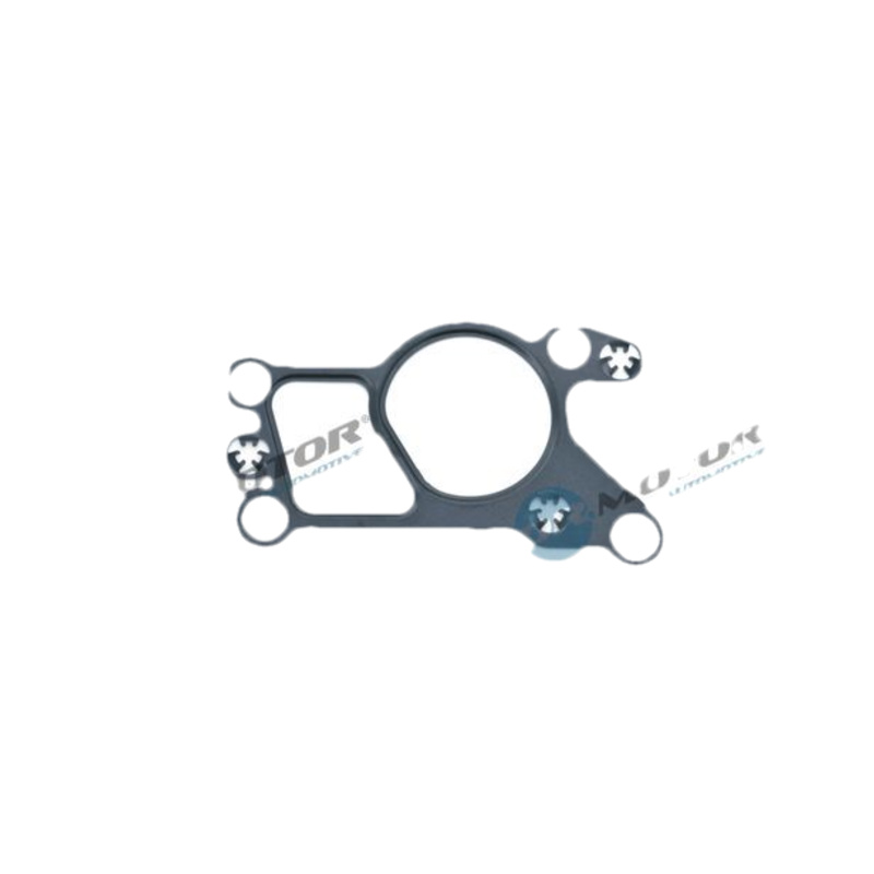 DR.MOTOR AUTOMOTIVE Tesnenie, AGR-Ventil DRM0896