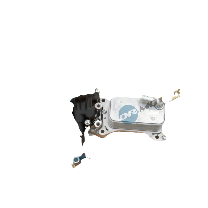 DR.MOTOR AUTOMOTIVE Obal olejového filtra DRM121007S