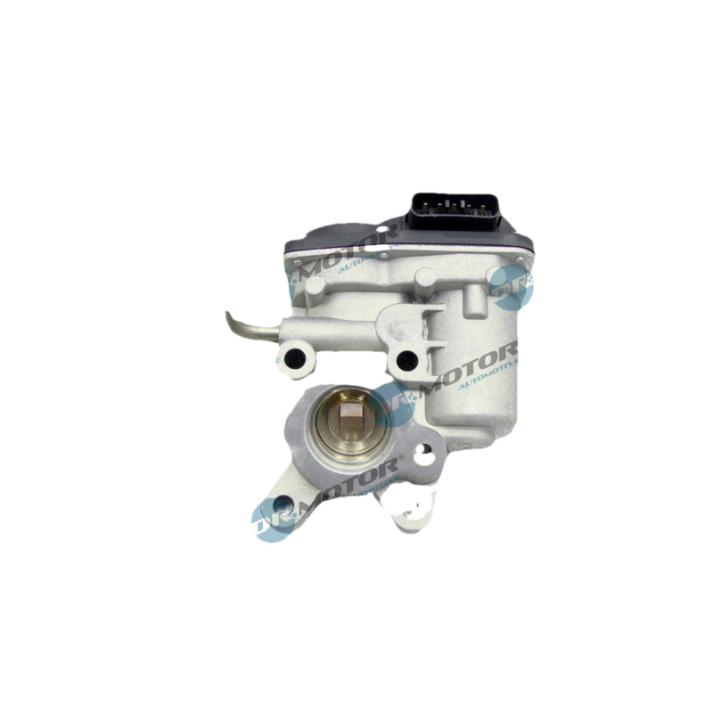 DR.MOTOR AUTOMOTIVE AGR - Ventil DRM131102